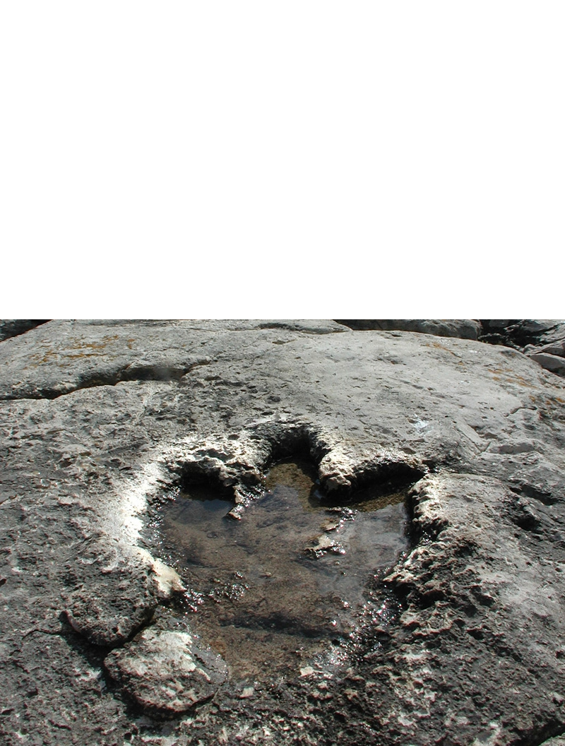 image (2)
