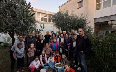 Berba maslina u školskom vrtu – rad, druženje i učenje kroz zajedništvo