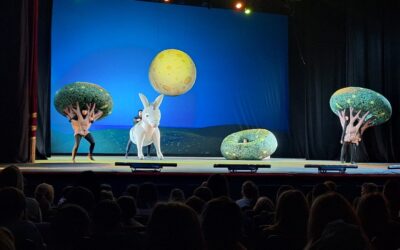 Kazališna predstava „Magarčić i kit“