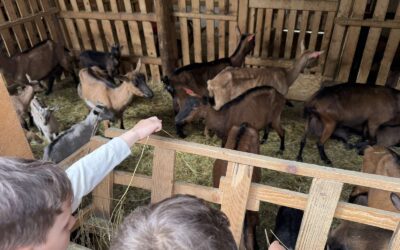 Posjet prvih razreda – OPG Dol