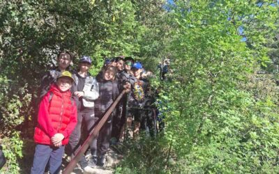 Sportski dan „Pokreni se“ u znaku kretanja i zajedništva